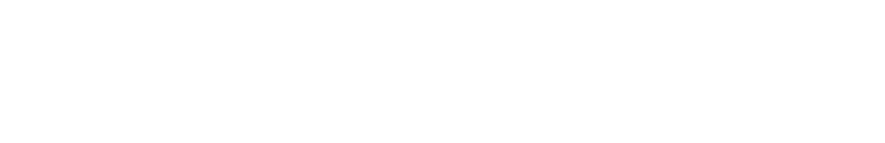 DivaDance El Paso Logo